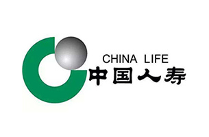 国寿财险